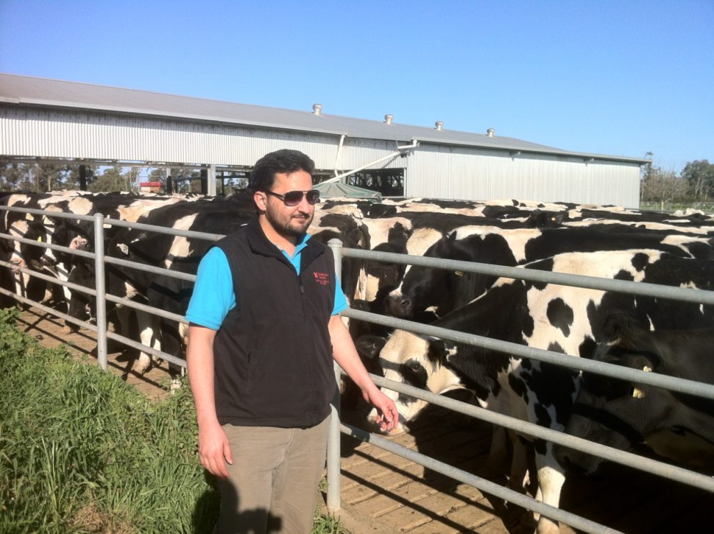 Riaz visiting a local dairy farm in Australia during his Australia Awards Scholarship.